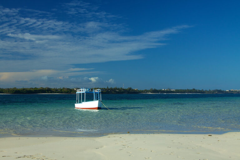 Safari y playas de Kenia 2025